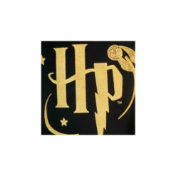 Harry Potter Shop -Harry Potter Shop unnamed file 13