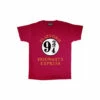 Harry Potter Hogwarts Express Boyfriend T-Shirt For Female -Harry Potter Shop unnamed file 142