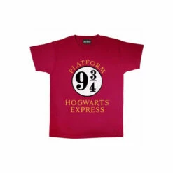 Harry Potter Hogwarts Express Boyfriend T-Shirt For Female -Harry Potter Shop unnamed file 144