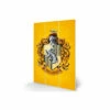 Harry Potter Hufflepuff Wood Print For Unisex