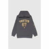 Harry Potter Gold Foil Potter 07 Hoodie For Male -Harry Potter Shop unnamed file 15