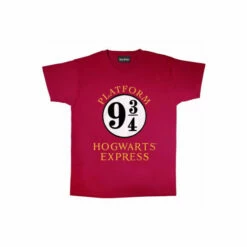 Harry Potter Hogwarts Express T-Shirt For Male