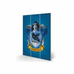 Harry Potter Ravenclaw Wall Art For Unisex