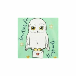 Harry Potter Hedwig Hoodie For Female -Harry Potter Shop unnamed file 1553