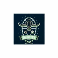 Harry Potter Quidditch Glitter T-Shirt And Short Set For Female -Harry Potter Shop unnamed file 1559