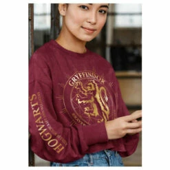 Harry Potter Gryffindor Constellation Acid Wash Crop Sweatshirt For Female -Harry Potter Shop unnamed file 1624