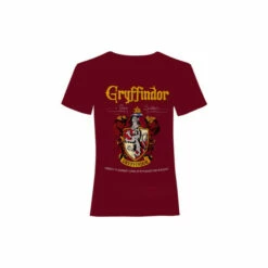 Harry Potter Gryffindor Crest T-Shirt For Male -Harry Potter Shop unnamed file 1628