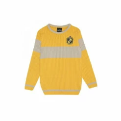 Harry Potter Quidditch Hufflepuff Knitted Jumper For Female -Harry Potter Shop unnamed file 1631