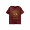 Harry Potter Gryffindor Constellation T-Shirt For Female