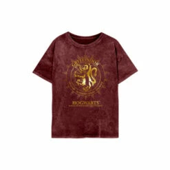 Harry Potter Gryffindor Constellation T-Shirt For Female -Harry Potter Shop unnamed file 1635