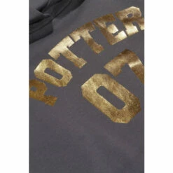 Harry Potter Gold Foil Potter 07 Hoodie For Male -Harry Potter Shop unnamed file 17
