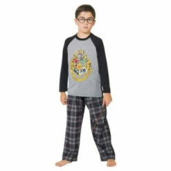 Harry Potter Hogwarts Crest Sleepsuit For Male