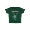Harry Potter Slytherin Crest T-Shirt For Male -Harry Potter Shop unnamed file 1742