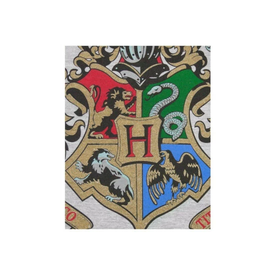 Harry Potter Hogwarts Raglan Top For Male 5 Harry Potter Hogwarts Raglan Top For Male - Image 3