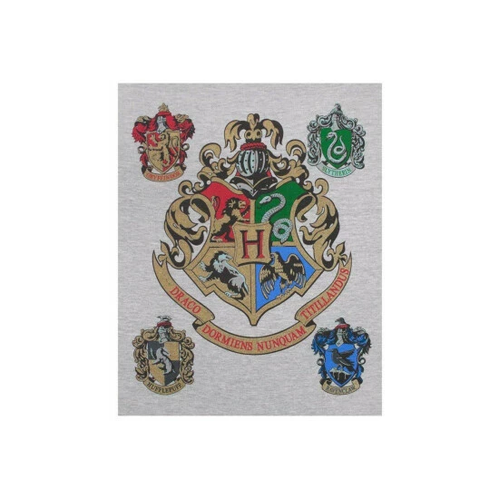 Harry Potter Hogwarts Raglan Top For Male 6 Harry Potter Hogwarts Raglan Top For Male - Image 4