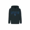 Harry Potter Ravenclaw Shield Hoodie For Male 2 Harry Potter Ravenclaw Shield Hoodie For Male -Harry Potter Shop unnamed file 1806