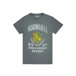Harry Potter Hogwarts T-Shirt For Male