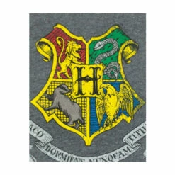 Harry Potter Hogwarts T-Shirt For Male -Harry Potter Shop unnamed file 1823