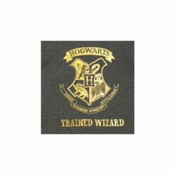 Harry Potter 2 Pack T-Shirts For Unisex -Harry Potter Shop unnamed file 1855