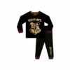 Harry Potter Hogwarts Long Sleeved Pyjamas For Male -Harry Potter Shop unnamed file 1857