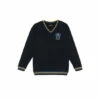 Harry Potter Ravenclaw Knitted Jumper For Male -Harry Potter Shop unnamed file 1863