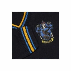 Harry Potter Ravenclaw Knitted Jumper For Male -Harry Potter Shop unnamed file 1866