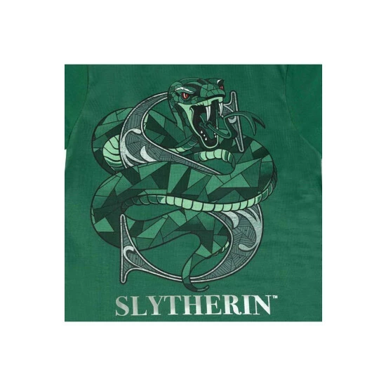 Harry Potter Slytherin Pyjama Set For Male 4 Harry Potter Slytherin Pyjama Set For Male - Image 2