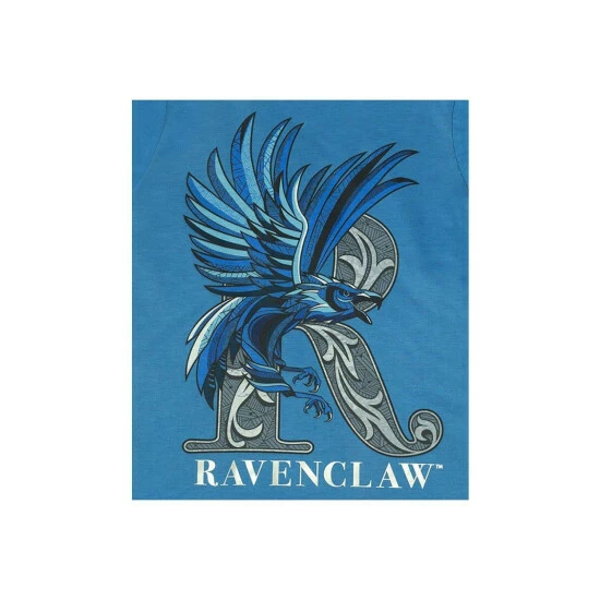 Harry Potter Ravenclaw Pyjama Set For Male 4 Harry Potter Ravenclaw Pyjama Set For Male - Image 2