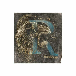 Harry Potter Ravenclaw T-Shirt For Male 8 Harry Potter Ravenclaw T-Shirt For Male -Harry Potter Shop unnamed file 2029