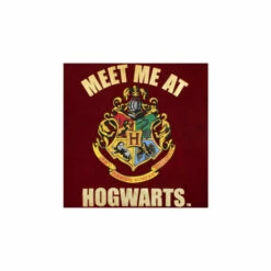 Harry Potter Hogwarts Pyjamas For Unisex -Harry Potter Shop unnamed file 222