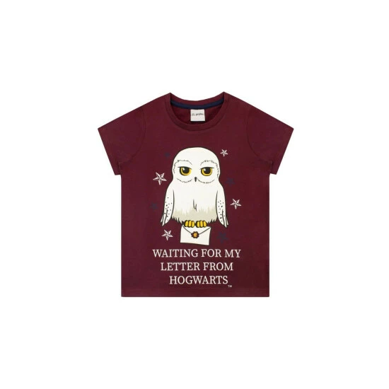 Harry Potter Hedwig Pyjamas Letter From Hogwarts For Female 4 Harry Potter Hedwig Pyjamas Letter From Hogwarts For Female - Image 2