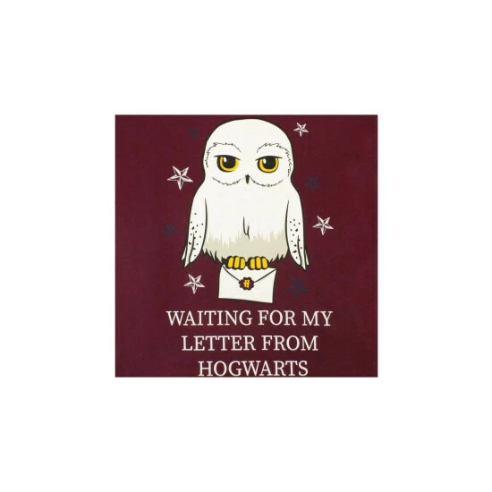 Harry Potter Hedwig Pyjamas Letter From Hogwarts For Female 5 Harry Potter Hedwig Pyjamas Letter From Hogwarts For Female - Image 3