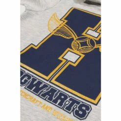 Harry Potter Glitter School Emblem Hoodie For Male -Harry Potter Shop unnamed file 236