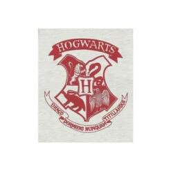 Harry Potter Hogwarts Crest Sweatsuit Set (Jumper & Trousers) For Male -Harry Potter Shop unnamed file 290