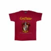 Harry Potter Gryffindor Crest T-Shirt For Male 2 Harry Potter Gryffindor Crest T-Shirt For Male -Harry Potter Shop unnamed file 294