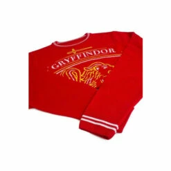 Harry Potter House Crest Gryffindor Knitted Jumper For Unisex -Harry Potter Shop unnamed file 41