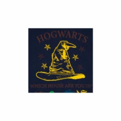 Harry Potter Hogwarts Sorting Hat Pyjamas For Female -Harry Potter Shop unnamed file 495