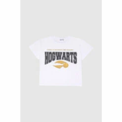 Harry Potter Hogwarts Golden Snitch T-Shirt For Female -Harry Potter Shop unnamed file 507