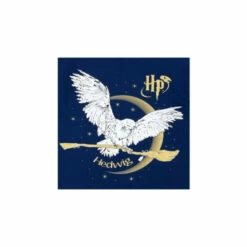 Harry Potter Hedwig Pyjamas Snug Fit For Female -Harry Potter Shop unnamed file 536