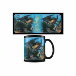 Harry Potter First Task Mug For Unisex