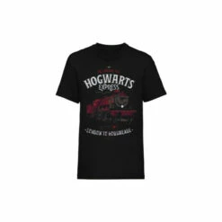 Harry Potter All Aboard T-Shirt For Male