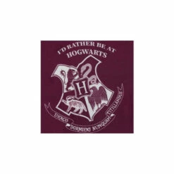 Harry Potter Hogwarts Short Pyjamas For Female -Harry Potter Shop unnamed file 8