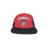 Harry Potter College Hogwarts Snapback Cap For Unisex