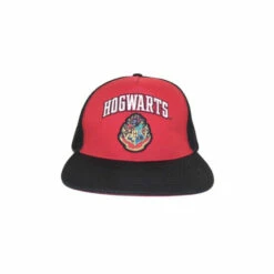 Harry Potter College Hogwarts Snapback Cap For Unisex