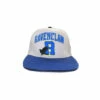 Harry Potter Ravenclaw Snapback Cap For Unisex -Harry Potter Shop unnamed file 881